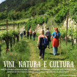 Vini,natura e cultura6