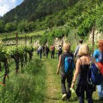 Tramonto con gusto_Archivio Strada del Vino e dei Sapori del Trentino (1)