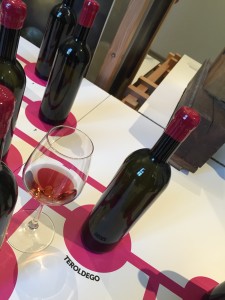 Mostra Coltiviamo il gusto presso MUSE_Archivio Strada del Vino e dei Sapori del Trentino