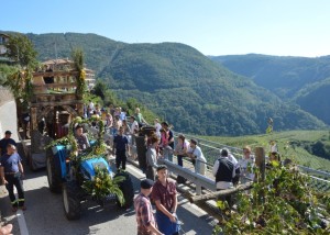 lapik_archivio-della-strada-del-vino-e-dei-sapori-del-trentino